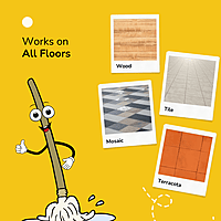 5L- Camphor Cedarwood