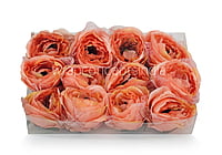 Peony - Peach with net layering