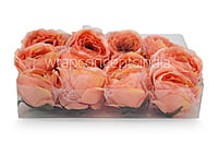 Peony - Peach with net layering