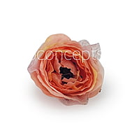 Peony - Peach with net layering