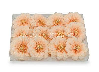 Dahlia Flower- Peach