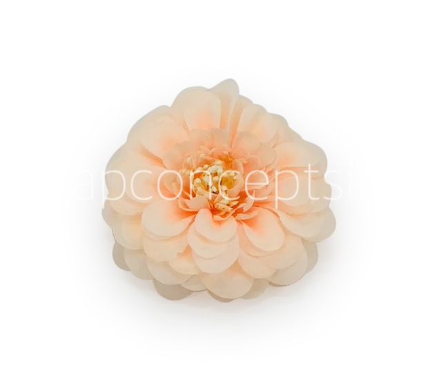 Dahlia Flower- Peach