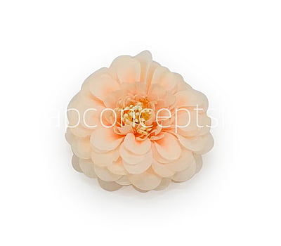 Dahlia Flower- Peach