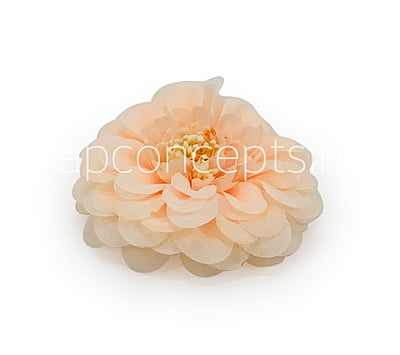Dahlia Flower- Peach