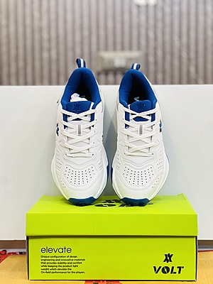 Professional Cricket Shoes