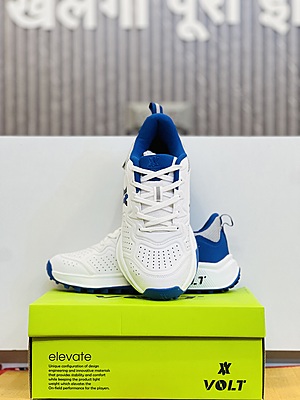 Professional Cricket Shoes