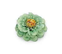 Dahlia Flower - Pistachio Green