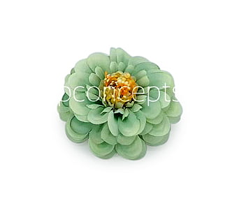 Dahlia Flower - Pistachio Green