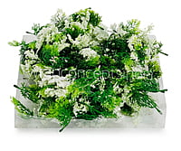 Green Fern Leaves with White Edges