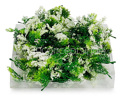 Green Fern Leaves with White Edges