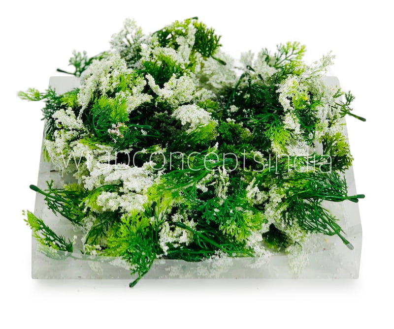 Green Fern Leaves with White Edges