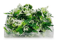 Green Fern Leaves with White Edges