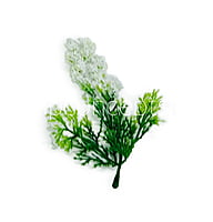 Green Fern Leaves with White Edges