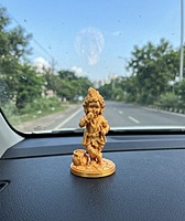 Divine Little Krishna