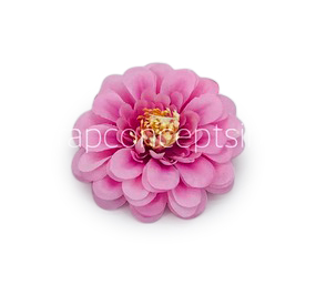 Dahlia Flower - Lavender