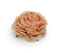 Ornate Peony - Peach