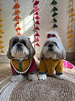 Multicolor Kurta