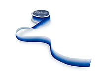 Shaded Grosgrain Ribbon