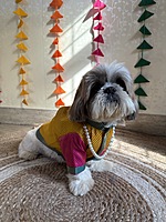 Multicolor Kurta