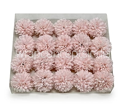 Carnation - Baby Pink