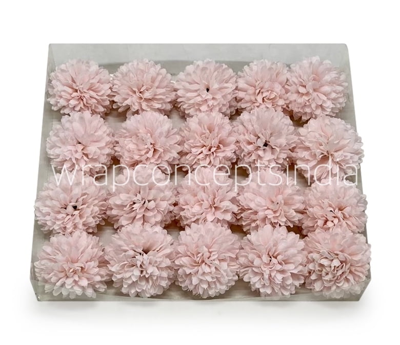 Carnation - Baby Pink