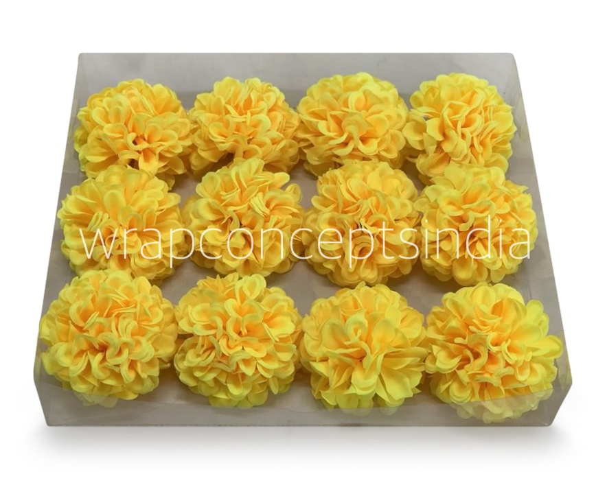 Sunshine Carnation