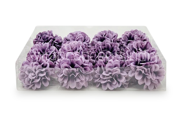 Wisteria Carnation