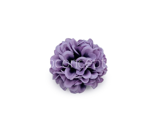 Wisteria Carnation