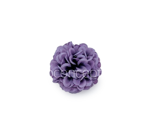 Wisteria Carnation