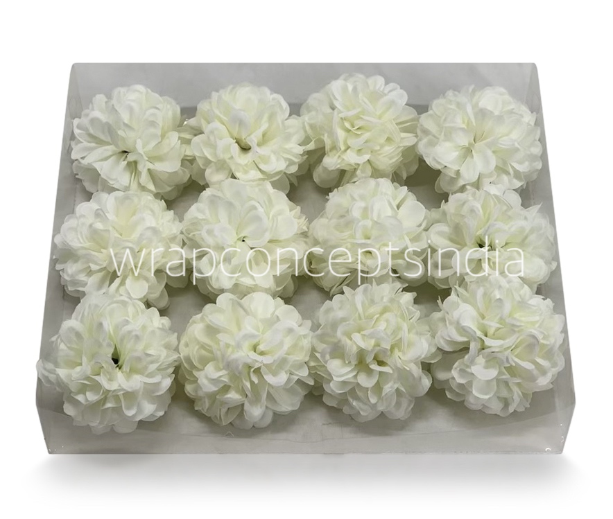 Ivory Carnation