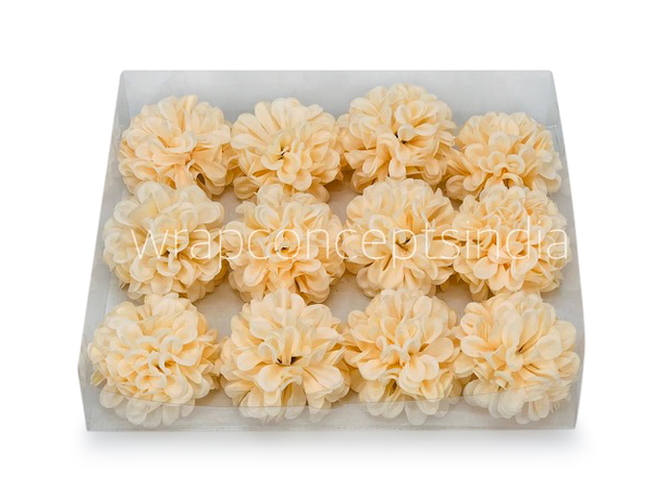 Cream Carnation