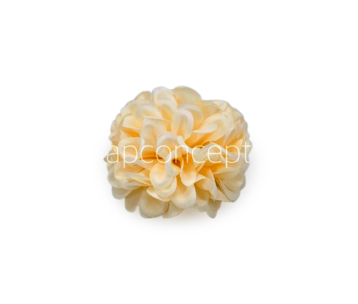 Cream Carnation