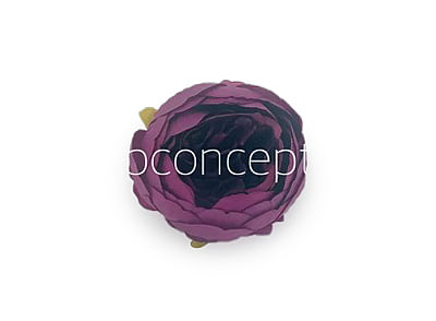 Peony-Dark Purple