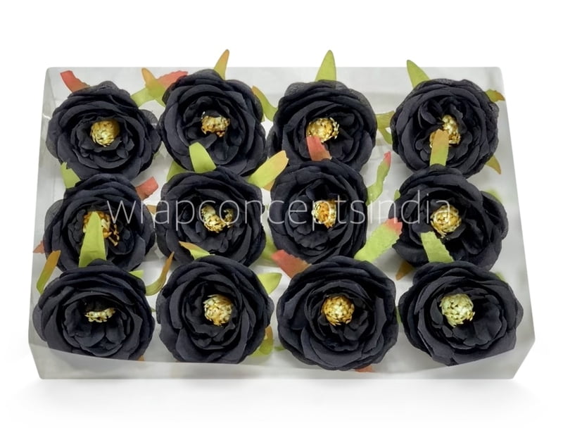 Black Camellia Flower