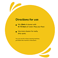 No Fragrance No Colour