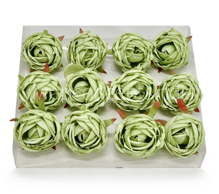 Fern Green