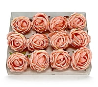 Blushing Peach Peony