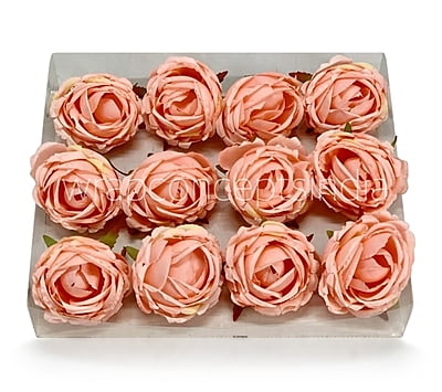 Blushing Peach Peony