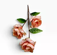 Luxe Rose Stem