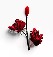 Artisan Rose Collection