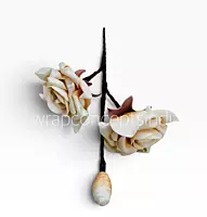 Artisan Rose Collection