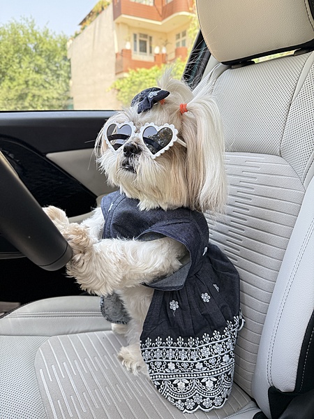 Denim  Embroidery Dress