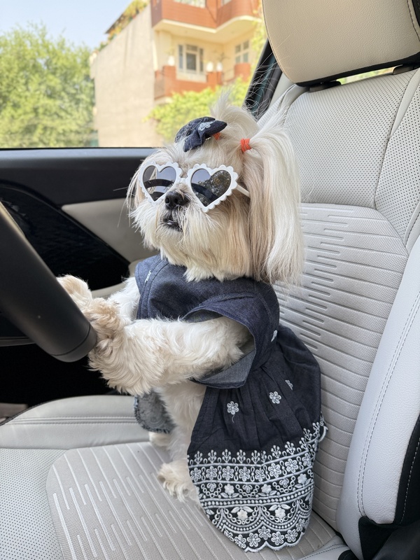 Denim  Embroidery Dress