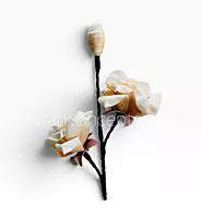 Artisan Rose Collection