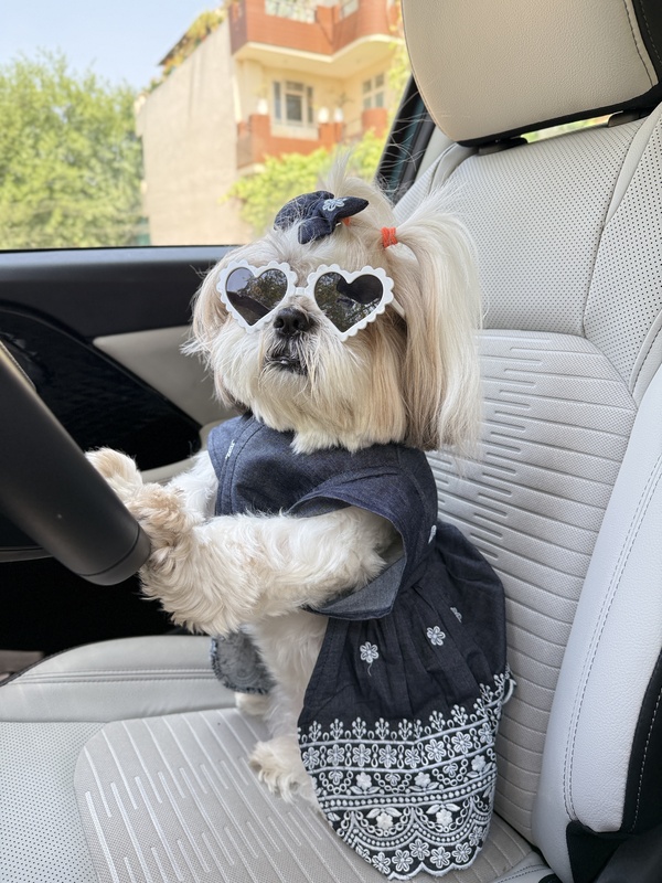 Denim  Embroidery Dress