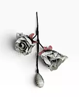 Artisan Rose Collection