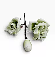 Artisan Rose Collection
