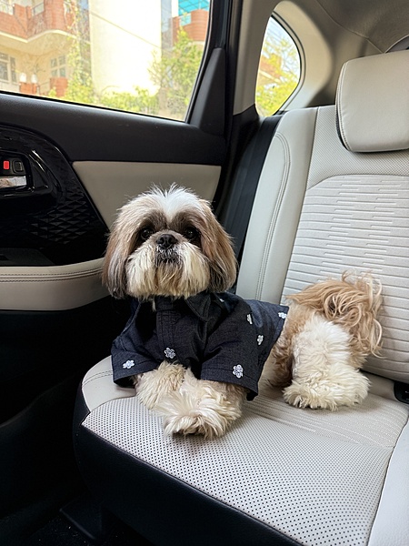 Denim Embroidered Shirt