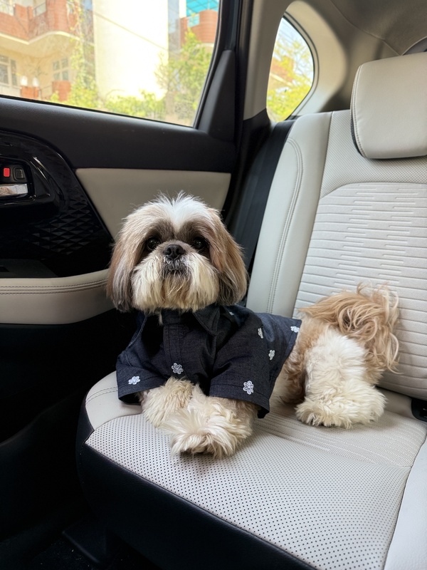 Denim Embroidered Shirt