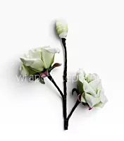 Artisan Rose Collection